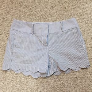 Ann Taylor Seersucker Scalloped Shorts
